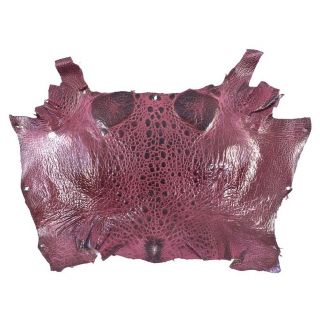 Bufo Marinus Cane Toad Skin Taxidermy Professionally Dyed Craft Leather Burgundy