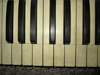 NATURAL Set Antique Piano Keys Victorian Parlor Pump Reed Organ Keyboard Parts 2