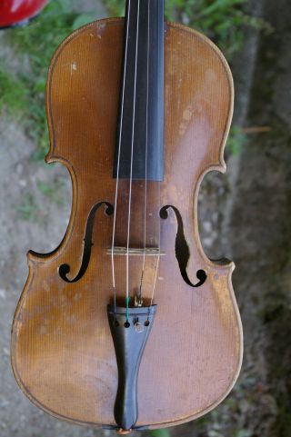 Antique Violin Ca.  1900 Stainer Model?