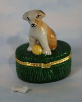Handpainted Mutt Puppy Dog Ball & Bone Porcelain Hinged Trinket Box Jrt