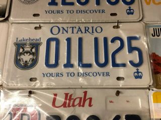 Lakehead University Thunderwolves Expired Ontario Canada Graphic License Plate
