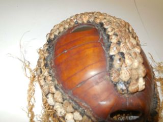 C3 Hand Carved OLD PAPUA GUINEA TURTLE SHELL MASK Fertility Vtg 2