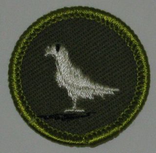 Boy Scout Pigeon Raising Merit Badge Type F (1961 - 64) Khaki Rolled Edge