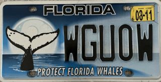2011 Florida “protect Florida Whales” License Plate