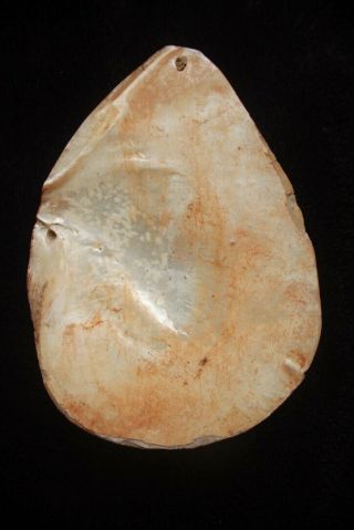Old Aboriginal Pearl Shell - Kimberley 