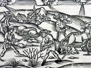 1502 Grüninger Master Incunabula Woodcut Virgil Georgics: Agriculture Ploughing