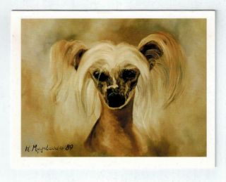 Chinese Crested Portraid Notecards Set 12 Note Cards Ruth Maystead Ccr - 1