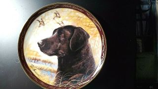 Awesome Royal Doulton Black Labrador Dog By Ruane Manning Plate
