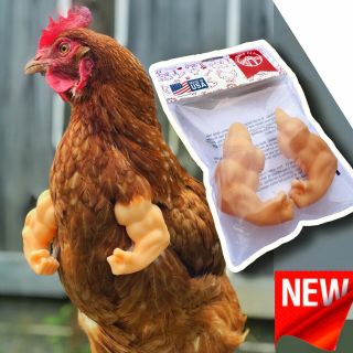 Chicken Fist Arms Gag Gift Arms For Chicken To Wear Fist Arms Meme