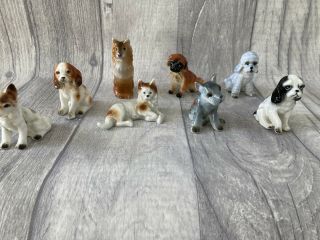 Set Of 8 Miniature Porcelain Dogs And Cats
