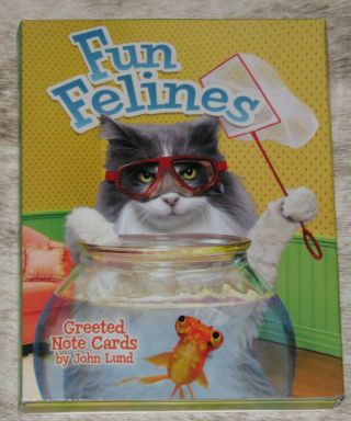 Leanin Tree Fun Felines 12 Note Cards 34699 3 Each 4 Designs Cute Cats Kittens