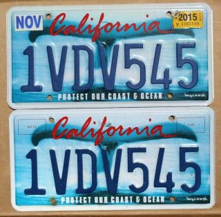 California Protect Our Ocean & Coast License Plates Whale Tails