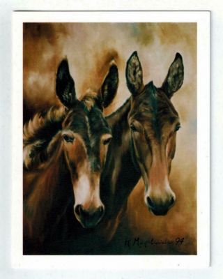 2 Black & Brown Mule Notecard Set 12 Note Cards 2 Mules By Ruth Maystead