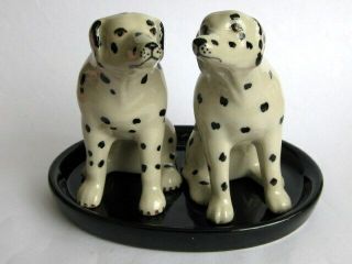 Hand Painted Dalmatians China Salt & Pepper Pots Shakers & Tray