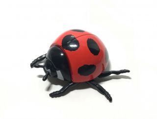 Japan Exclusive Stasto The Tentori Yu 3d Ladybug Ladybird Beetle Insect Figure A