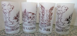 4 Vintage Souvenir Yellowstone National Park Frosted Drink Glasses 5 Inches Tall