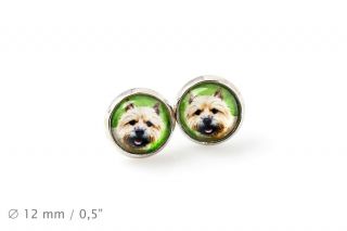 Norwich Terrier.  Pet In Your Ear.  Earrings.  Photojewelry.  Handmade.  Ca