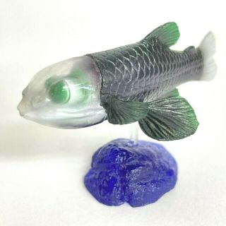 Kaiyodo Capsule Aquarium Deep Sea Creature Mini Figure Barreleye Import Japan