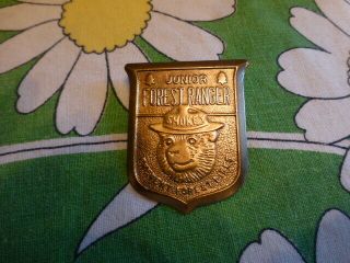 Vintage Smokey The Bear Junior Forest Ranger Prevent Forest Fires Tin Badge Pin