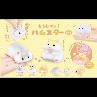 Soft Squishy Hamster Ball Gachapon Gashapon Capsule Toy Japan Squishies Kawaii