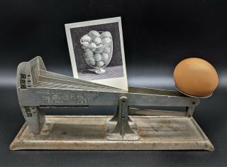 Antique Vintage Acme Egg Grading Scale w/ 48 Paper Gummed Egg Advertising Plates 2