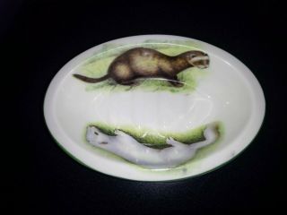 Ferret Polecat Otter Soap Dish Unique Porcelain Ceramic Vintage Ferrets Bathroom