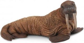 Walrus Sealife Toy Model Figure By Collecta 88569