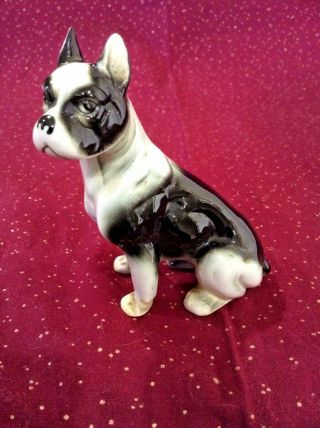 Vintage Boxer Dog Figurine Porcelain Black And White 3 1/2 " Tall