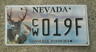 Real Nevada State License Plate Auto Number Car 019f Conserve Wildlife Nv