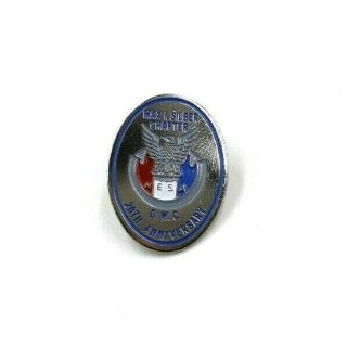20th Anniversary Max I.  Silber Chapter Nesa Hat Lapel Pin Daniel Webster Council