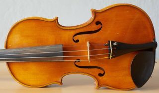 old violin 4/4 geige viola cello fiddle label PAOLO de BARBIERI 1468 3