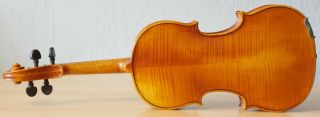 old violin 4/4 geige viola cello fiddle label PAOLO de BARBIERI 1468 6