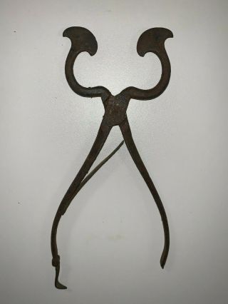 Antique 18th Century Colonial Wrought Sugar Nips Iron Nippers Snips