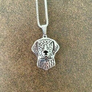 Wire Haired Vizsla Dog Necklace Pendant With 18 " Silver Necklace Gift Bag