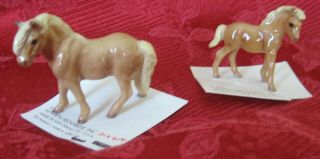 Hagen - Renaker Shetland Ponies,  Stallion A - 3065 And Foal A - 3067 On Cards -
