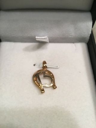 Vintage 18k (750) Gold Horseshoe Good Luck Charm Lucky 13 Pendant Jewelry