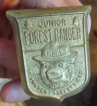 Vintage Smokey The Bear Junior Forest Ranger Prevent Forest Fires Tin Badge Pin