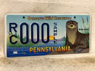 1997 Pennsylvania Conserve Wild Resources License Plate