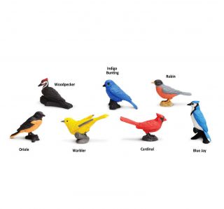 Backyard Birds Toob 678304 In Usa W/$25,  Safari,  Ltd.  Figurines