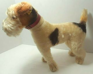 Vintage Steiff Foxy Fox Terrier With Collar Collar Missing Foxy Name Tag