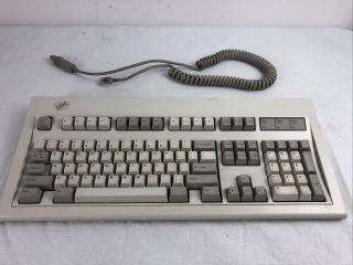 Ibm Model M Keyboard Part Number 1391401 With Cable (1992,  Ps/2) Vintage