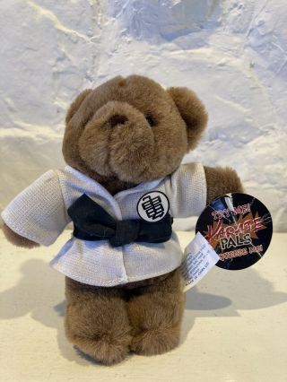 Karate Pals 6 " Electronic Squeeze Plush Bear That Makes Karate Sounds With Tags