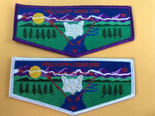 Pellissippi Lodge 230 S - 46 And S - 47 Flaps