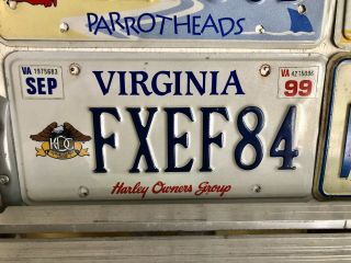 1999 Virginia Harley Davidson Owners Group Hog Vanity License Plate Tag