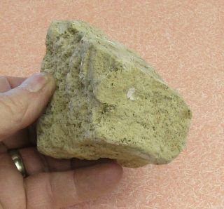 Large Specimen Of Pumice From Wasco Co. ,  Oregon
