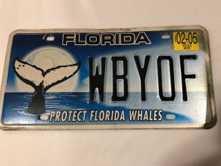 Florida - " Protect Florida Whales " - License Plate