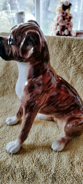 Large Hand Painted Boxer Dog By Just Cats & Friends Staffordshire Figure 10.  5”