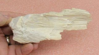 Very Large Mineral Specimen Of Fibrous Sepiolite From Stevens Co. ,  Washington