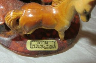 Vintage Petrified Wood Souvenir Grand Canyon Horse Paperweight 2