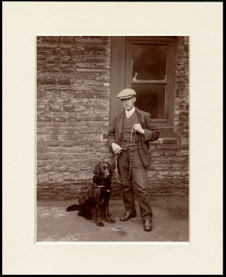 Flat Coated Retriever Collecting Dog And Man Great Photo Print Ready Mounted